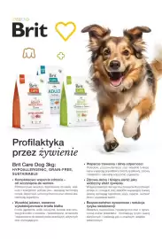 AquaelZOO gazetka Strona 11