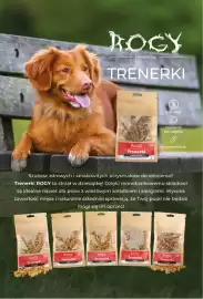 AquaelZOO gazetka Strona 2