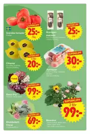 Nya Pulsen reklamblad vecka 23 Sida 8
