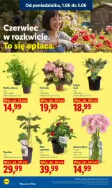 Lidl gazetka Strona 106