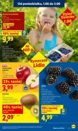 Lidl gazetka Strona 45
