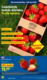 Lidl gazetka Strona 46