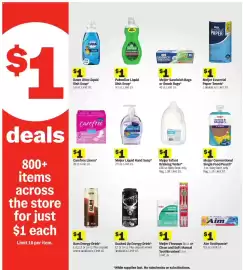 Meijer weekly ad week 23 Page 11