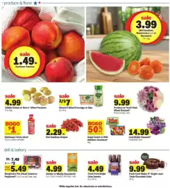Meijer weekly ad week 23 Page 13