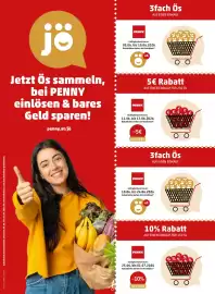 PENNY Flugblatt Seite 65
