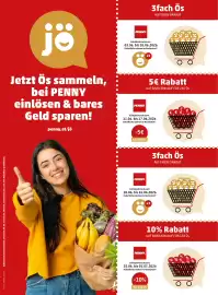 PENNY Flugblatt Seite 65