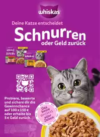 PENNY Flugblatt Seite 8