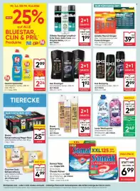 Maximarkt Flugblatt woche 23 Seite 14