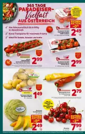 Billa Corso Flugblatt woche 23 Seite 6