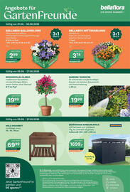 Bellaflora Flugblatt Seite 8