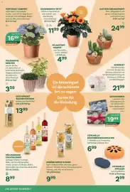 Bellaflora Flugblatt Seite 4