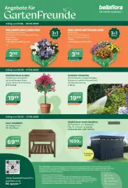 Bellaflora Flugblatt Seite 8