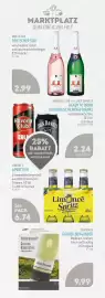 Edeka Struve Prospekt woche 24 Seite 19
