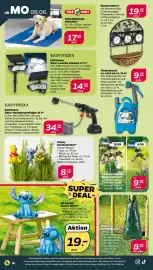 NETTO Prospekt woche 24 Seite 18