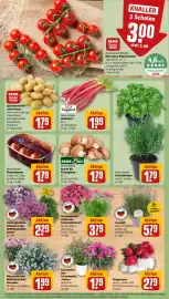 REWE Kaufpark Prospekt woche 23 Seite 5