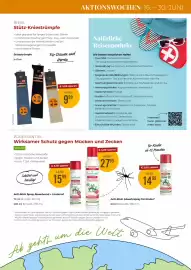 Martin Reformstark Flugblatt Seite 13