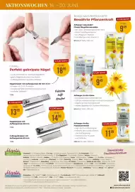 Martin Reformstark Flugblatt Seite 16