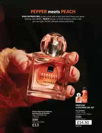 Avon catalogue Page 107