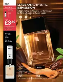 Avon catalogue Page 120