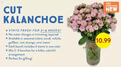 Fresh Thyme weekly ad Page 4