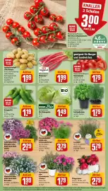 Rewe DE folder week 23 Pagina 5
