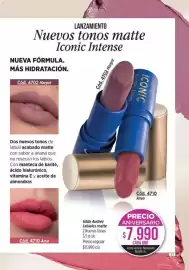 Catálogo Amodil Página 33