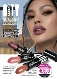 Catálogo Amodil Página 47