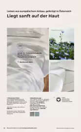 Grüne Erde Flugblatt Seite 12