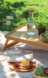 Grüne Erde Flugblatt Seite 2