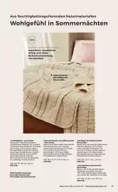 Grüne Erde Flugblatt Seite 9