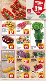 REWE PETZ Prospekt woche 23 Seite 5
