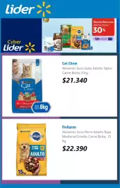 Catálogo Lider Página 4