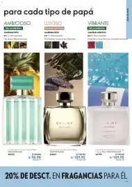 Catálogo Oriflame Página 17