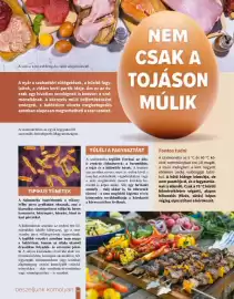 Pingvin Patika akciós újság Oldal 22