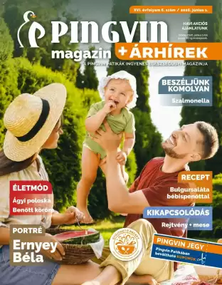 Pingvin Patika (érvényes eddig: 30-06)