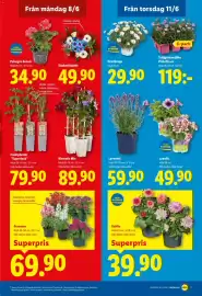 Lidl reklamblad vecka 24 Sida 20