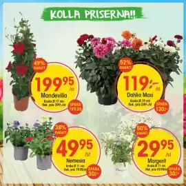 EKO reklamblad vecka 23 Sida 1