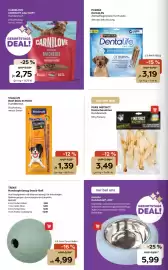 ZOO & Co Flugblatt woche 23 Seite 4