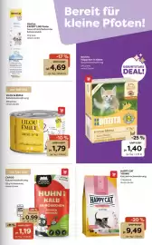 ZOO & Co Flugblatt woche 23 Seite 7