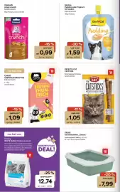 ZOO & Co Flugblatt woche 23 Seite 8