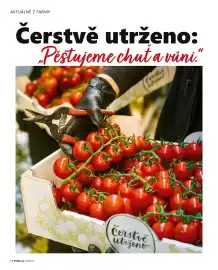 Billa leták Strana 54