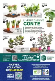Volantino In'S Mercato Pagina 13