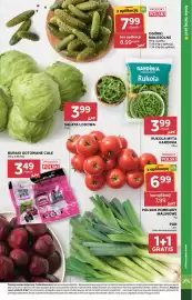 Stokrotka Market gazetka Strona 9