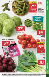 Stokrotka Market gazetka Strona 9