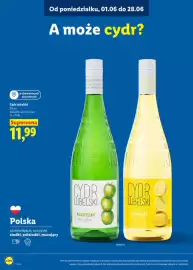 Lidl gazetka Strona 13