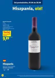 Lidl gazetka Strona 21