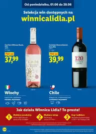 Lidl gazetka Strona 23