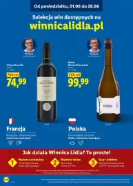 Lidl gazetka Strona 25