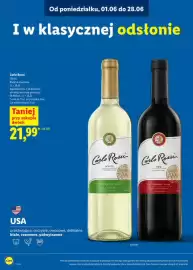 Lidl gazetka Strona 3