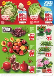 Kaufland gazetka tydzień 23 Strona 5